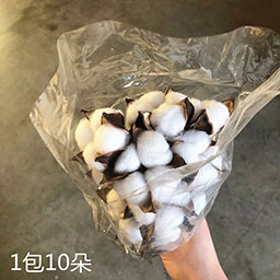 白色棉花干花大号40厘米自带铁丝杆花束装饰材料鲜花礼盒辅料配件