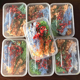 幼儿园手工制作干花材料盒组合DIY亲子活动使用植物制作盒装材料
