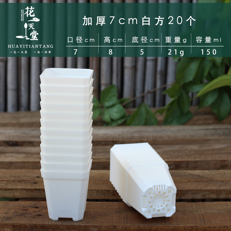 多肉花盆塑料方盆加厚7cm白黑方盆带托架盘播种育苗盆幼儿园活动