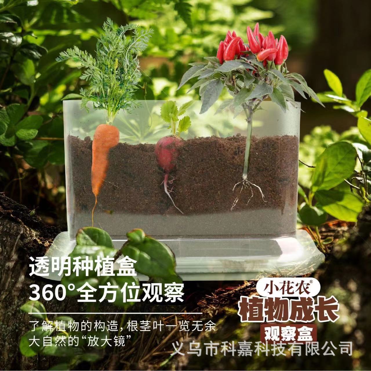 儿童根系种植植物观察盒阳光房小盆栽生长益智科学实验套装透明盒