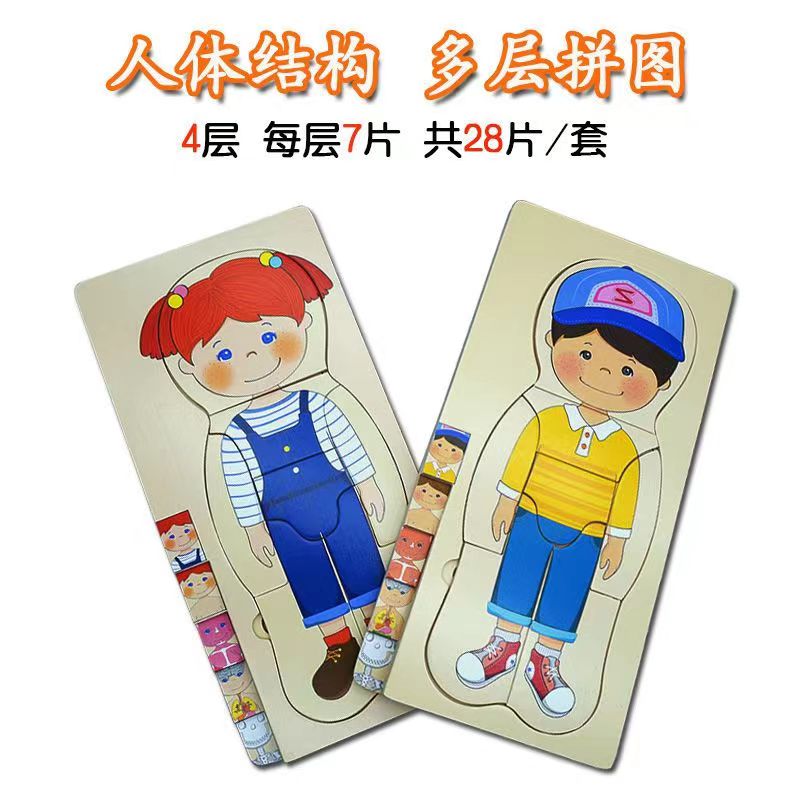 多层人体拼图玩具儿童木质男女孩人体器官拼图幼儿园人体结构早教 男孩+女孩